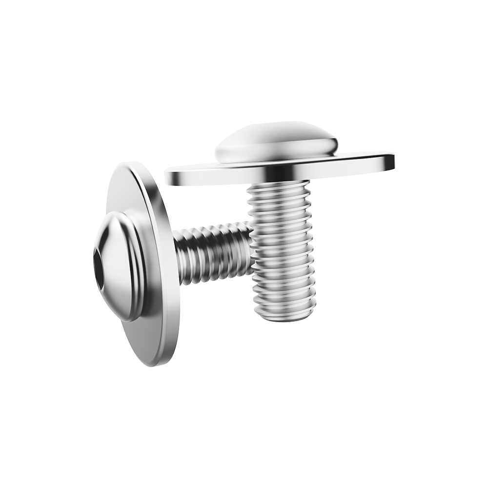 Screw (2 Pieces)